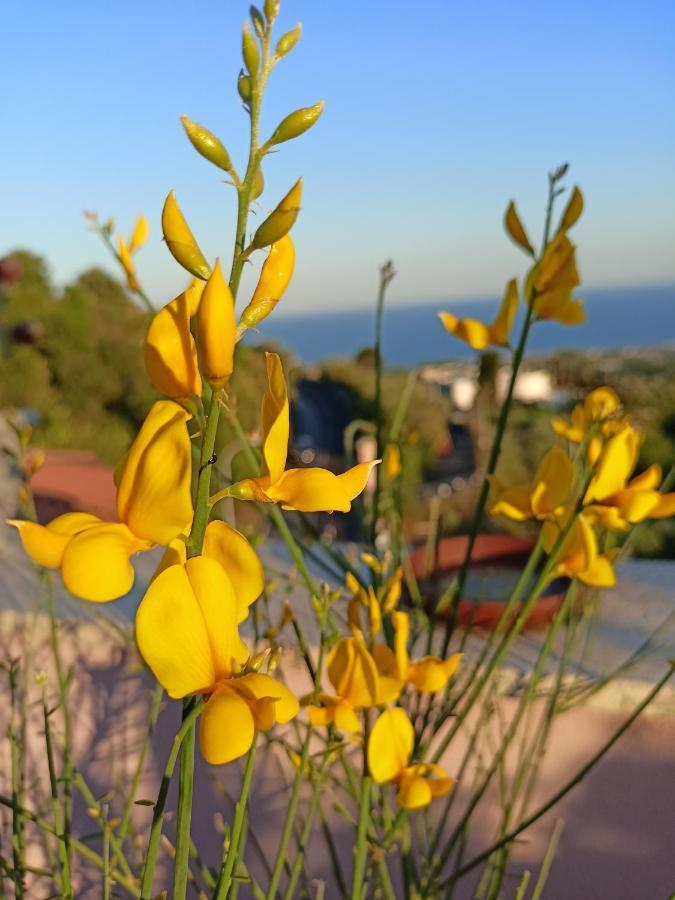 La Petite Maison Aci Castello Luaran gambar